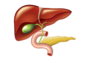 Tumori e Patologie benigne del Pancreas e del Fegato